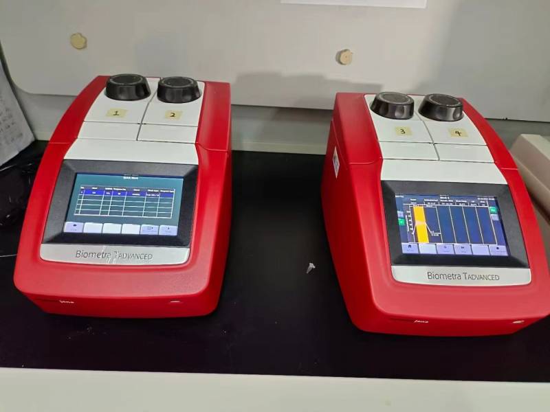 ¹ҮPCR